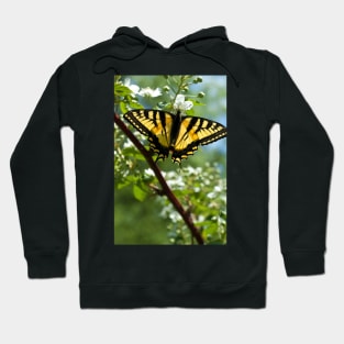 Tiger Swallowtail Butterfly Hoodie